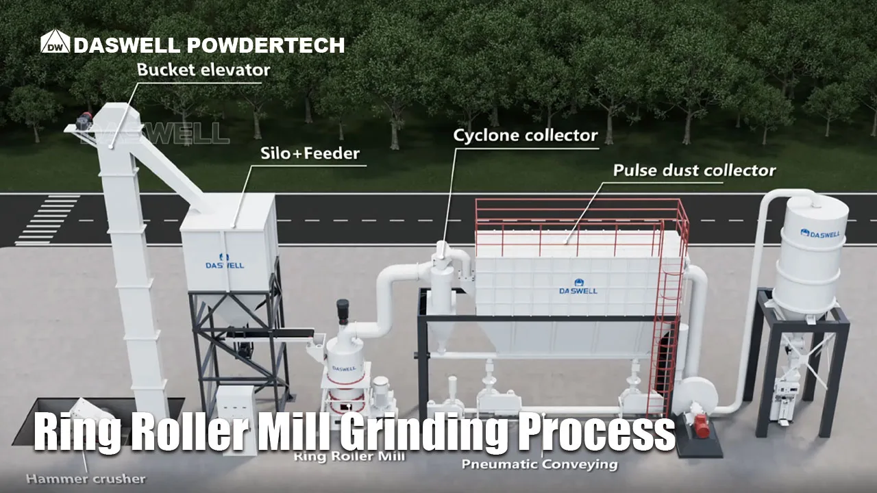 Daswell Powder Ring Roller Grinding Process Daswell Powder Ring Roller Grinding Process