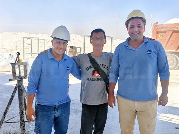 Daswell Engineer with Customers in Egypt Daswell Engineer with Customers in Egypt